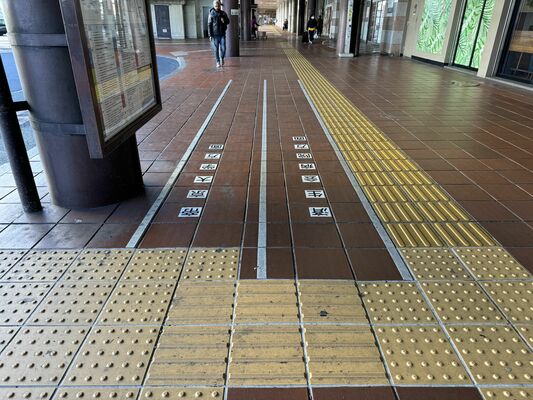駅舎寄りの乗降場でレーン状に引かれた白線＝２月上旬、宇都宮市川向町