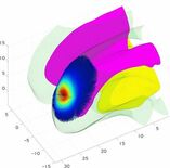 脳形成を支える“足場”を仮想的に構築 ―胎児期におけるニューロンの移動…