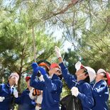 那須の高久小児童、松ぼっくり採取に汗　アカマツ林再生へ　苗木に育てて植林