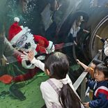 大田原・なかがわ水遊園で「サンタの水中散歩」 クリスマスシーズンの恒例…