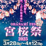 宇都宮・田川沿いで28日から「宮桜祭」　ちょうちん初設置、夜桜も満喫を