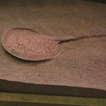 アマゾン川の新種のエイ 栃木県なかがわ水遊園・渡辺敬晴さん 長時間かけ…