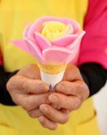 秋田の夏はババヘラ、ユニーク風物詩アイス