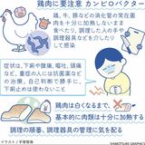 カンピロバクター　鶏などの消化管の常在菌　肉類は十分に加熱を【白鷗大・岡田教授が解説】