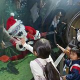 大田原・なかがわ水遊園で「サンタの水中散歩」 クリスマスシーズンの恒例イベント 来場者らガラス越しに歓声