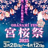 宇都宮・田川沿いで28日から「宮桜祭」　ちょうちん初設置、夜桜も満喫を