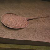 アマゾン川の新種のエイ　栃木県なかがわ水遊園・渡辺敬晴さん　長時間かけ現地で採取　長い尾が絡まることも