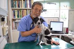 犬の健康管理