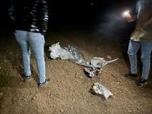 リビア参謀総長ら8人死亡