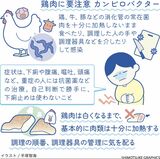 カンピロバクター　鶏などの消化管の常在菌　肉類は十分に加熱…