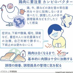 カンピロバクター　鶏などの消化管の常在菌　肉類は十分に加熱を【白鷗大・岡田教授が解説】