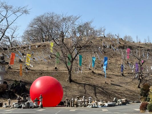 野外アート展の会場となる市花木センターの「水仙と花桃の丘」