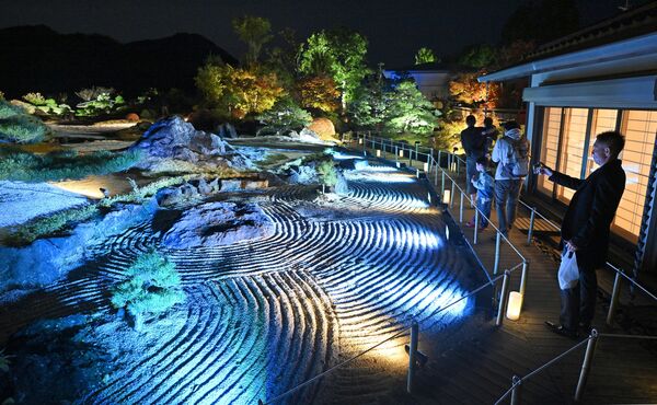 ライトアップされた日本庭園＝８日午後５時20分、佐野市閑馬町