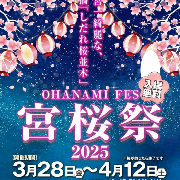 上物宮桜5pr 12000円