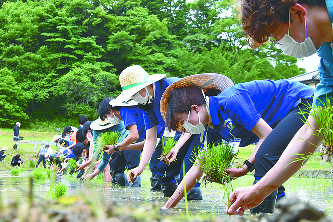 先月22日に行われた「棚田オーナークラブ」の田植え風景