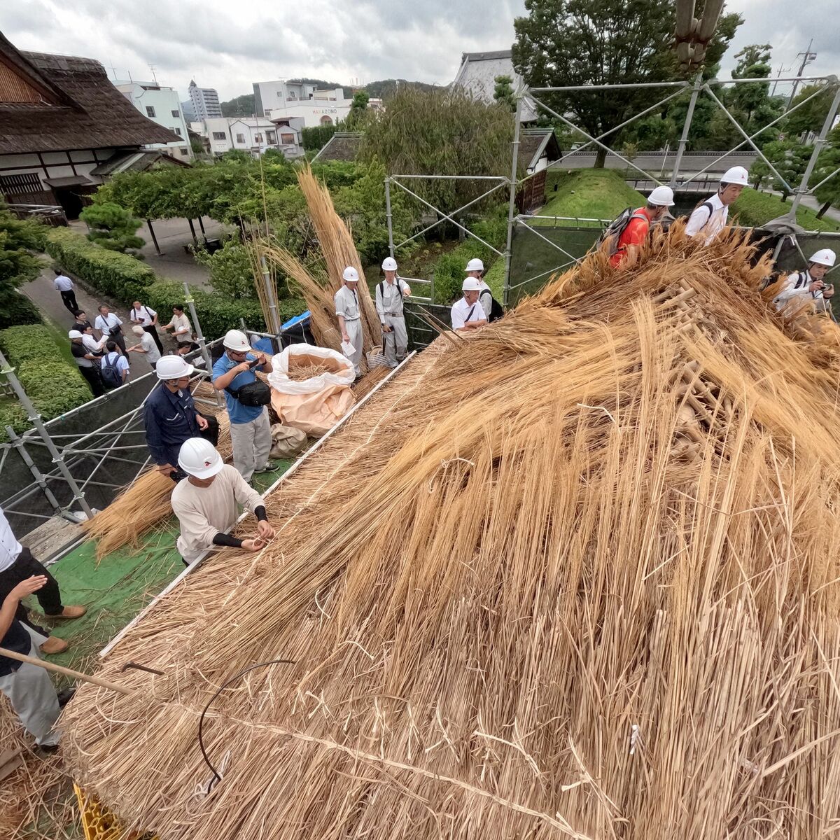 足利学校で茅葺き屋根のふき替え進む 復元から35年で傷み目立ち｜県内