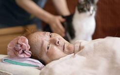 強制不妊被害、訴訟の原告死去