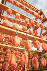 毎年大人気！希少な堂上蜂屋柿を 「ＪＡタウン」の「ぎふ～JAめぐみのマ…