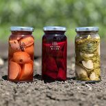 旬の野菜のおいしさ詰まったピクルス商品化　ブレックス選手らの異業種農業…
