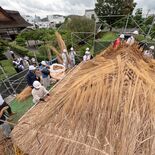 足利学校で茅葺き屋根のふき替え進む　復元から35年で傷み目立ち