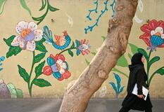 テヘラン、美しい花や鳥の壁画が市民癒やす