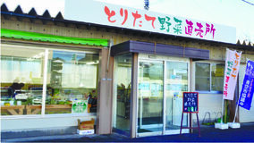 甘みたっぷり！露地栽培の白菜ＪＡなす南 とりたて野菜直売所