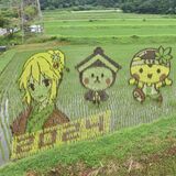 田んぼアートで「とちまるくん」や「塩原八弥」　那須塩原の水田、中野さんが今年も制作
