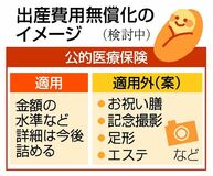 出産無償化 保険新枠組み