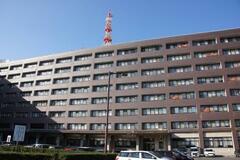 アスリート盗撮防止条例が施行