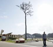 忘れない あの日を