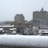 栃木県内、大雪による交通障害など警戒を　８日午前４時現在の積雪は宇都宮11センチ