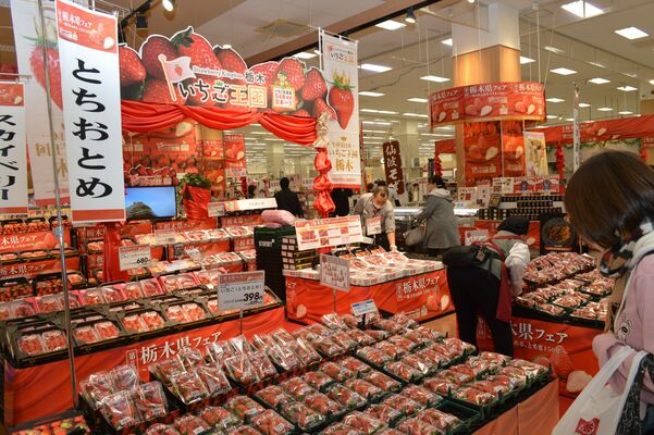 １１日からイオンスタイル佐野新都市で始まった「栃木県フェア」