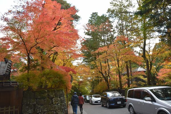紅葉が見頃を迎えた山内の「華蔵院の坂」