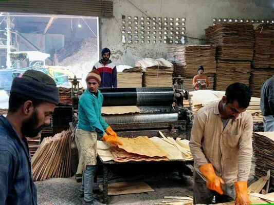 有害物質の除去剤を接着剤に混ぜ、ローラーで木材に塗布するインドの合板製造工場（丸昌産業提供）