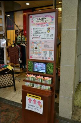 「ミスズ洋装店前」の応募ポスト。応募用紙も配布されている
