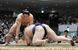 琴栄峰（奥）が引き落としで若ノ勝を破る＝両国国技館
