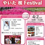 桜、音楽、プロレス満喫を　矢板市観光協会がフェス初企画
