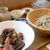 継ぎ足しのタレ、そばの歯応え　ちくわ天丼とそばのセット　蕎麦道（栃木）