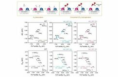 FLP-MOF触媒の作用機構解明により設計を高速化