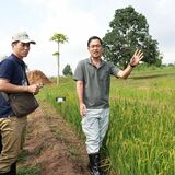 本紙記者ウガンダ訪問記㊥コメ振興　生産性向上へ栽培指導