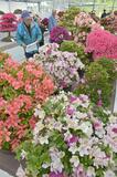 名花 勢ぞろい