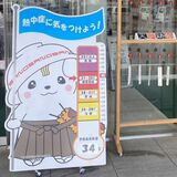 佐野で34・５度、全国４位タイ　県内９地点で真夏日