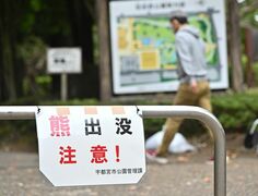【最新】宇都宮に出没のクマ、7日午後8時30分ごろ姿川中学校付近で目撃　市「夜間の…