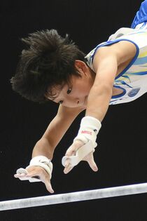 東日本ジュニア体操選手権