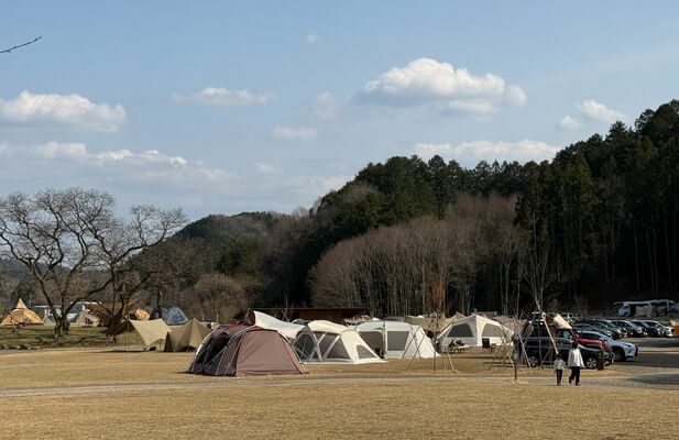多くのテントが張られるキャンプ場