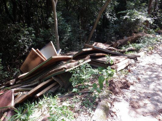 大量の廃畳の不法投棄が確認された現場＝７月28日、栃木市大平町西山田