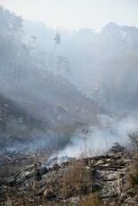 岩手・大槌町の山林火災延焼拡大