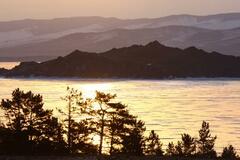 バイカル湖で森林伐採容認