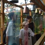 佐野・唐澤山神社で「風鈴参道」　天明鋳物製600個、涼やかな音色　