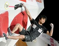 楢崎智３年連続の準優勝　ボルダリング・ジャパンＣ